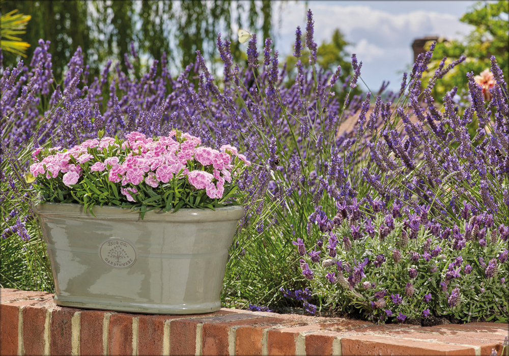 More Than Pots | Glazed Terracotta Garden Pots and Planters