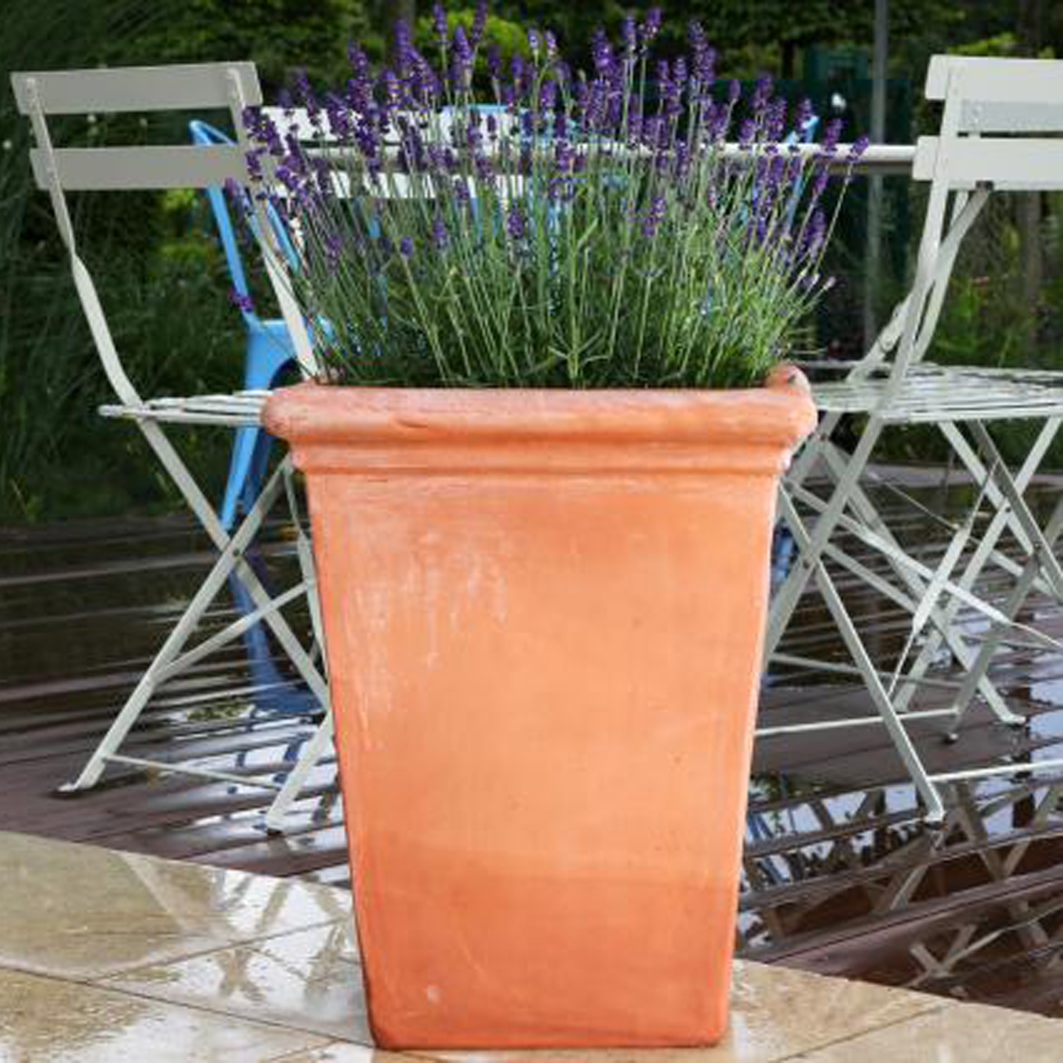 Large Square Terracotta Planters