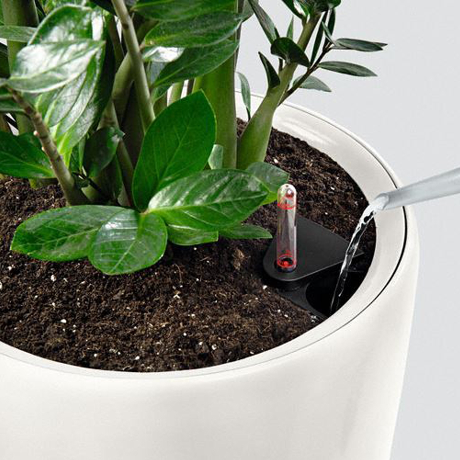 Lechuza Rondo Self-Watering Planter Charcoal